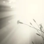 Como fazer enquetes no Instagram para aumentar bem o engajamento