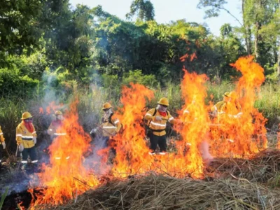 Brigadas do Pantanal aprendem uso de fogo controlado