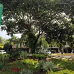 Justiça condena empresários por fraude de R$1,4 milhão em mapas
