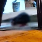 Homem é morto a tiros ao atender portão em Caarapó