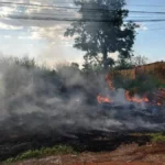 Multas por queimadas podem chegar a R$ 1,4 milhão em Campo Grande