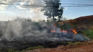 Multas por queimadas podem chegar a R$ 1,4 milhão em Campo Grande