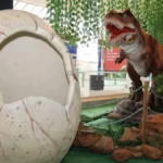 Parque indoor une dinossauros, infláveis e games para toda a família