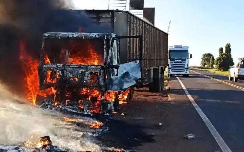 Bois soltos na MS-395 após carreta pegar fogo