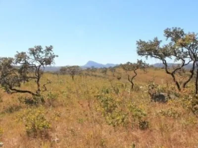 Cerrado tem menor área sob alerta de desmate desde 2021