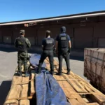 Teste químico descarta cocaína em maior apreensão de madeira