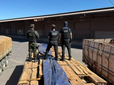 Teste químico descarta cocaína em maior apreensão de madeira