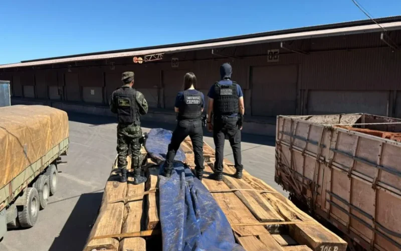 Teste químico descarta cocaína em maior apreensão de madeira