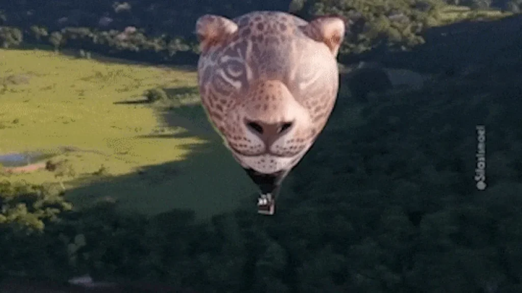 Onça-pintada gigante voa sobre o Pantanal em balão inédito