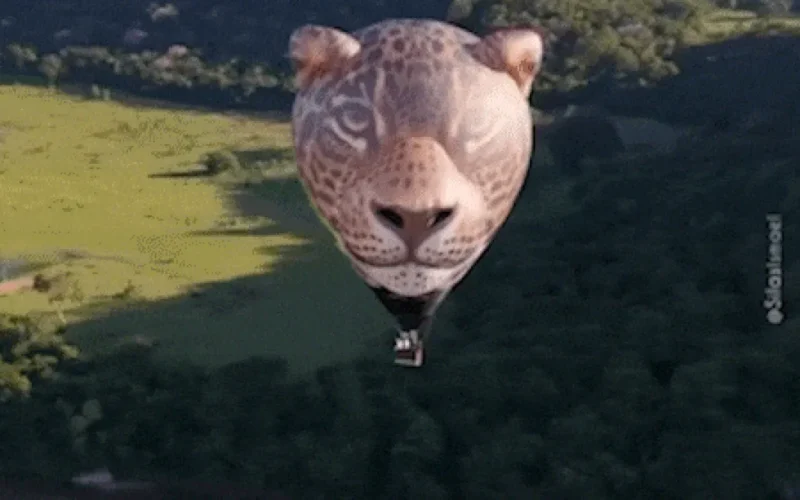 Onça-pintada gigante voa sobre o Pantanal em balão inédito