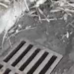 Limpeza de bueiro vira ciclo vicioso e morador denuncia
