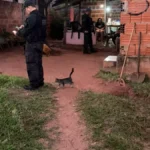 Operação Hércules mira facção após execução em rodoviária