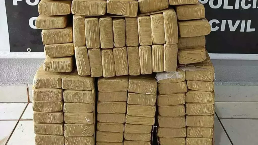 Jovem é preso com 394 kg de maconha em MS-164