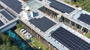 Alems elimina 10 concorrentes e fecha contrato solar por R$ 5,37 mi