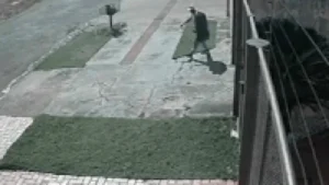 Ladrão furta casa e foge com TV nos braços na Vila Ipiranga