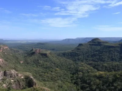 Desmatamento cai 65% no Pantanal e 11,5% no Cerrado